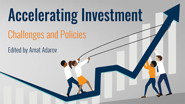 Accelerating Investment: Challenges and Policies