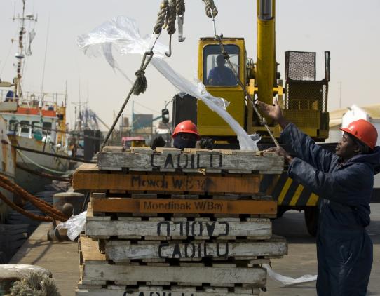 Worker loading cargo 