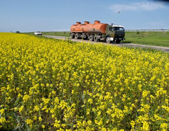 Oil tanker passing by a flower field