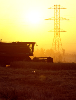 Harvest